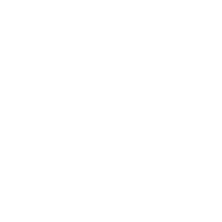 Chubb consultant insurance
