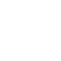 Travelers insurance for consultants